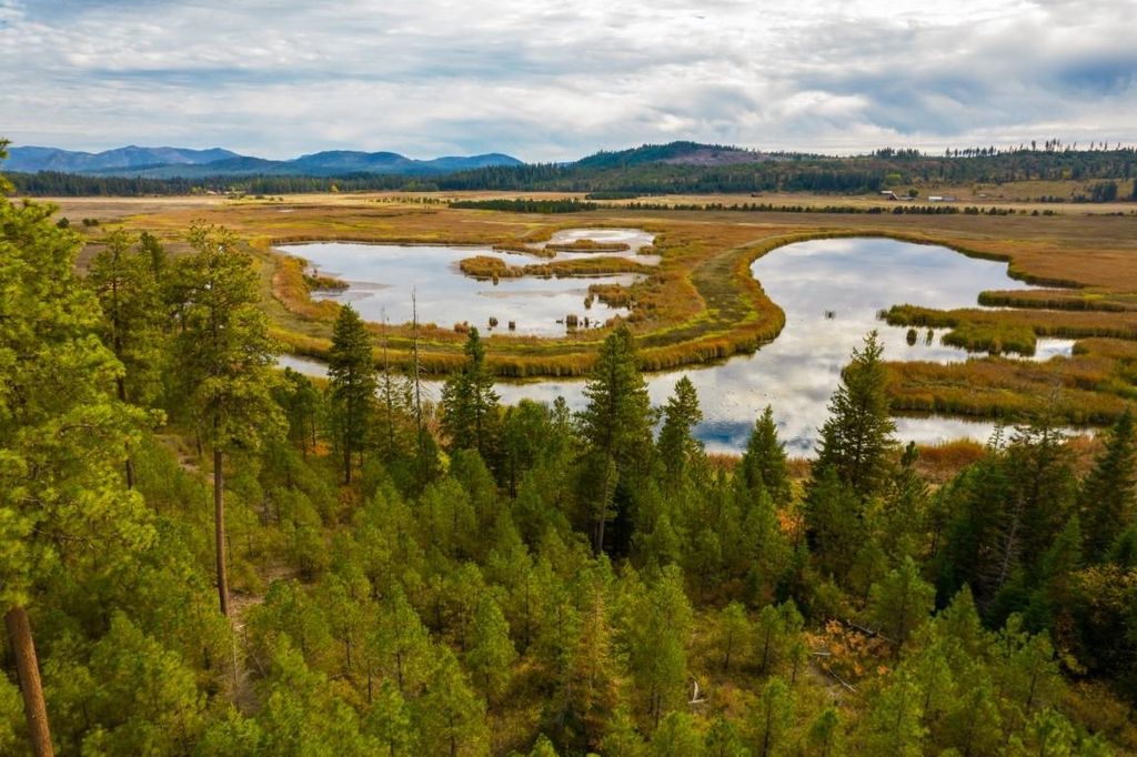 3900 HAVERLAND MEADOWS, Valley, WA 99181 photo 34