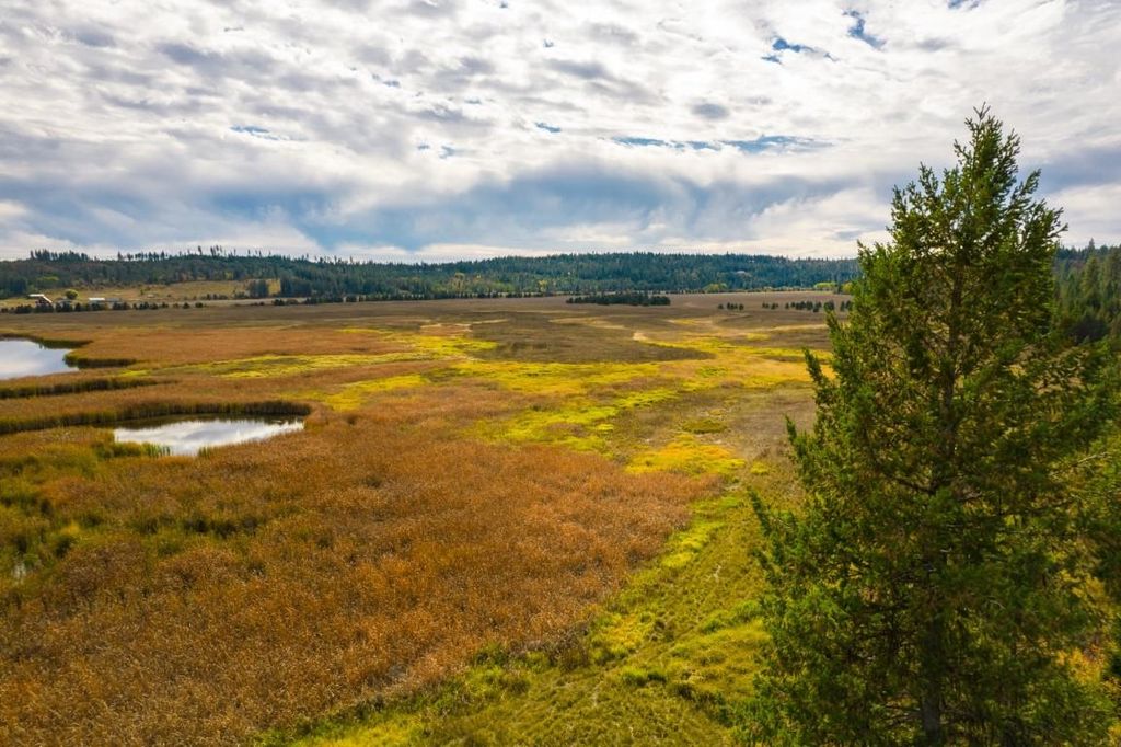 3900 HAVERLAND MEADOWS, Valley, WA 99181 photo 35