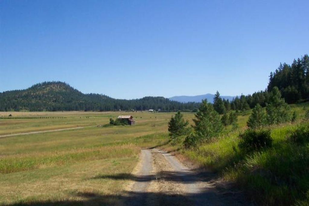 3900 HAVERLAND MEADOWS, Valley, WA 99181 photo 9