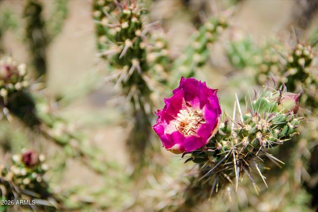 139XX E Hawknest Road -, Scottsdale, AZ 85262