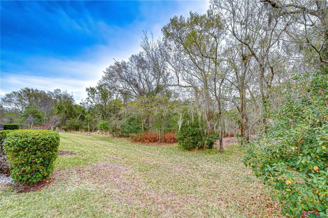 16158 AMETHYST KEY DRIVE, Wimauma, FL 33598