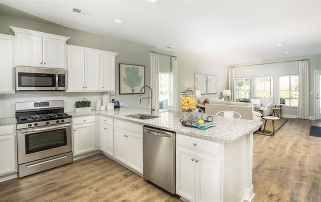627 Lemon Drop Dr, Longs, SC 29568