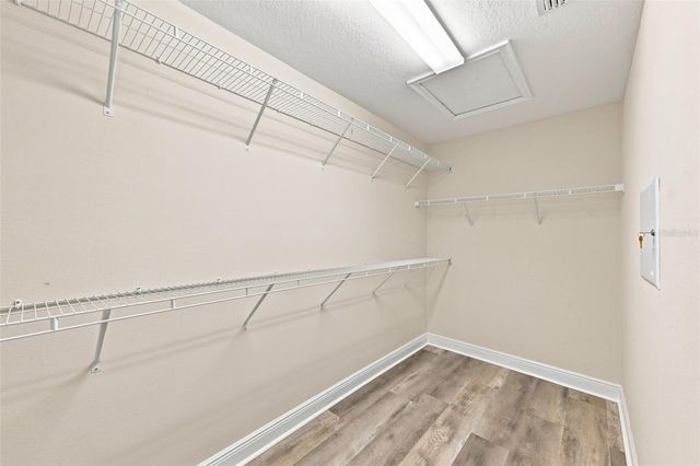 17871 STELLA MOON PLACE, Lutz, FL 33558