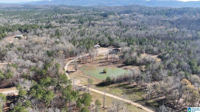 439 WILD ROSE TRAIL, Ashville, AL 35953