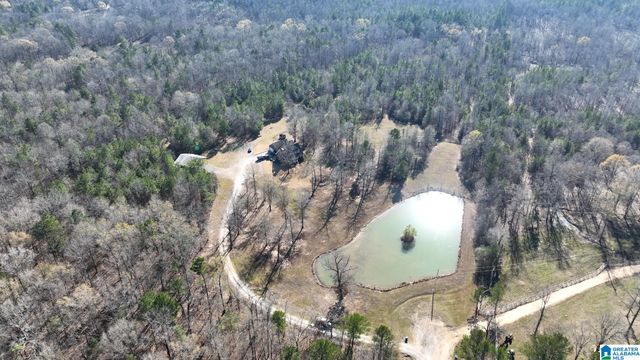 439 WILD ROSE TRAIL, Ashville, AL 35953