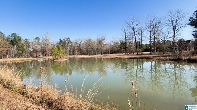 439 WILD ROSE TRAIL, Ashville, AL 35953