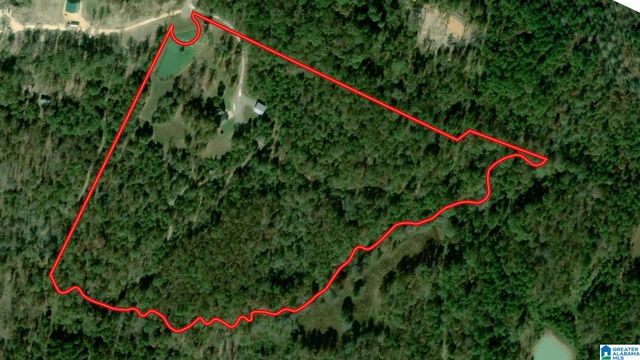 439 WILD ROSE TRAIL, Ashville, AL 35953