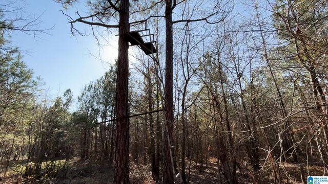 439 WILD ROSE TRAIL, Ashville, AL 35953