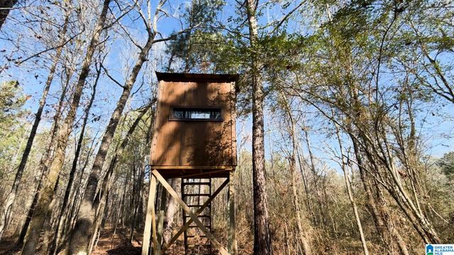 439 WILD ROSE TRAIL, Ashville, AL 35953