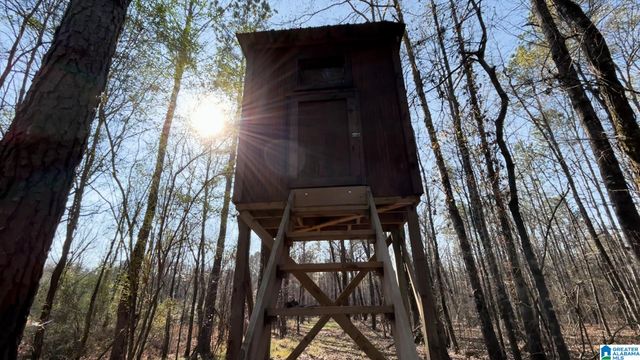 439 WILD ROSE TRAIL, Ashville, AL 35953