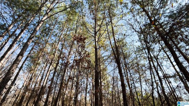 439 WILD ROSE TRAIL, Ashville, AL 35953