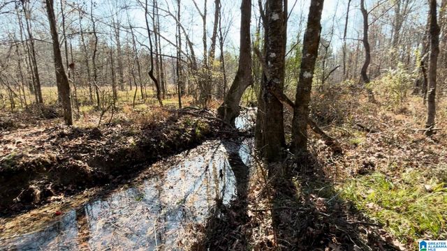 439 WILD ROSE TRAIL, Ashville, AL 35953