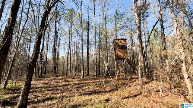 439 WILD ROSE TRAIL, Ashville, AL 35953