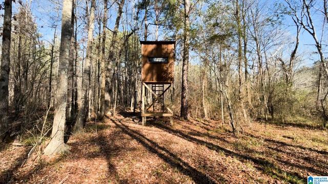 439 WILD ROSE TRAIL, Ashville, AL 35953