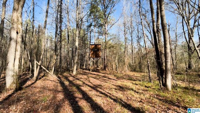 439 WILD ROSE TRAIL, Ashville, AL 35953