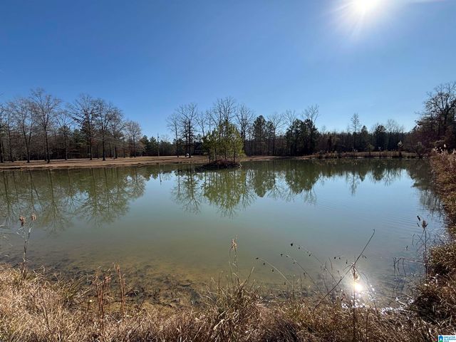 439 WILD ROSE TRAIL, Ashville, AL 35953