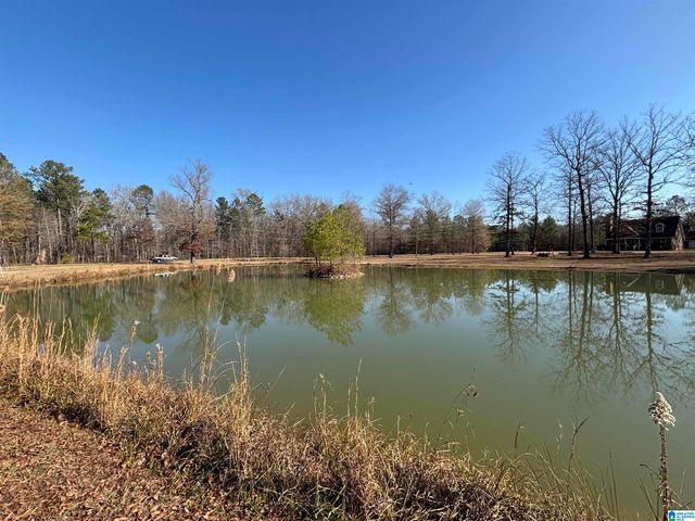 439 WILD ROSE TRAIL, Ashville, AL 35953