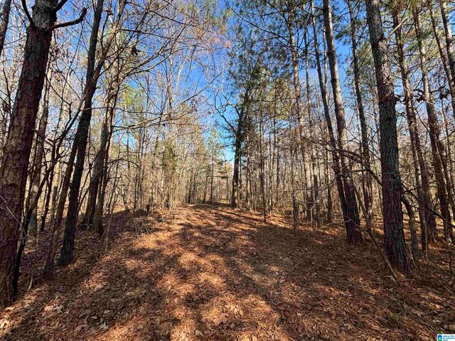 439 WILD ROSE TRAIL, Ashville, AL 35953
