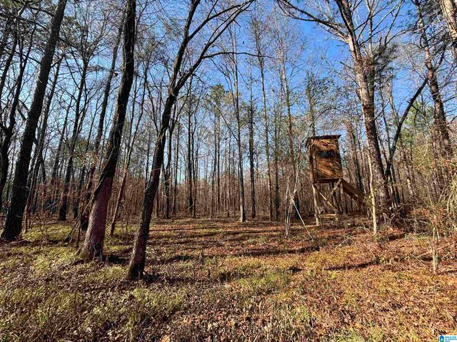 439 WILD ROSE TRAIL, Ashville, AL 35953