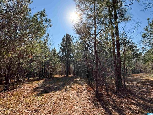 439 WILD ROSE TRAIL, Ashville, AL 35953