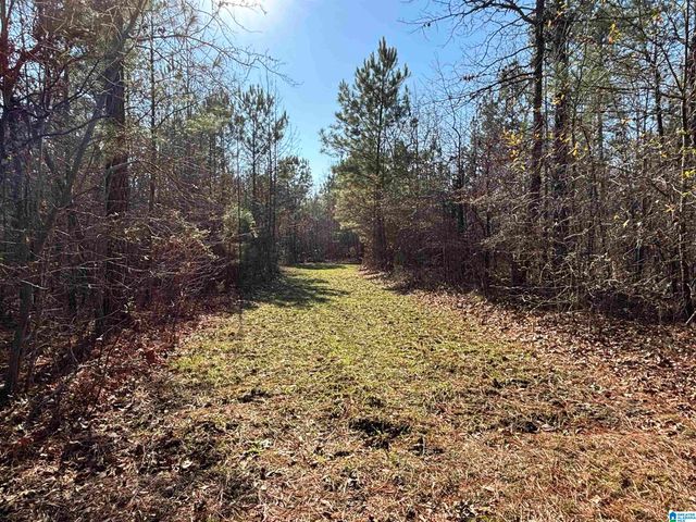439 WILD ROSE TRAIL, Ashville, AL 35953
