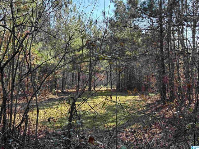439 WILD ROSE TRAIL, Ashville, AL 35953