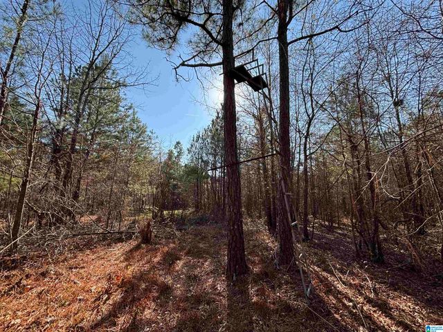 439 WILD ROSE TRAIL, Ashville, AL 35953