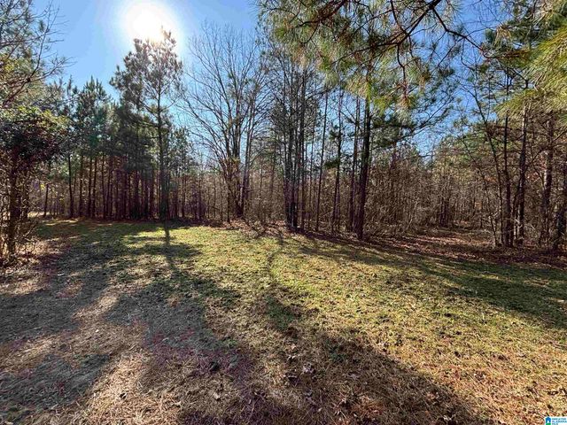 439 WILD ROSE TRAIL, Ashville, AL 35953