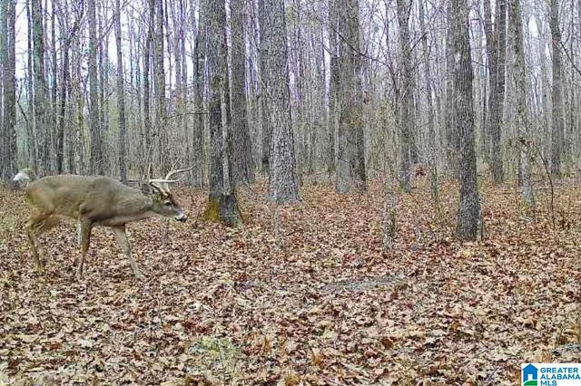 439 WILD ROSE TRAIL, Ashville, AL 35953