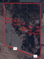 Lot 1 CR 4911, Ladonia, TX 75449
