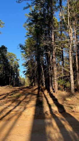 0 Monroe Drive, Livingston, TX 77351