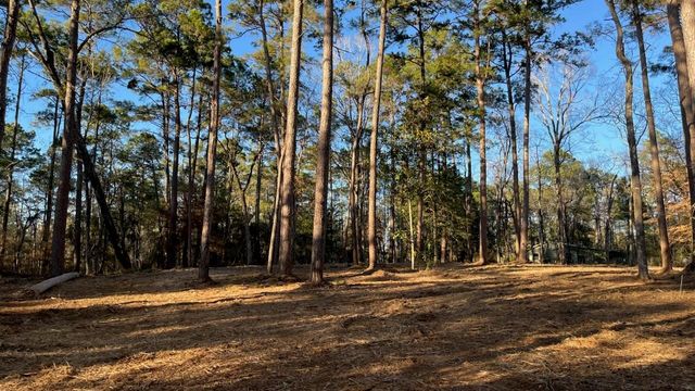 0 Monroe Drive, Livingston, TX 77351