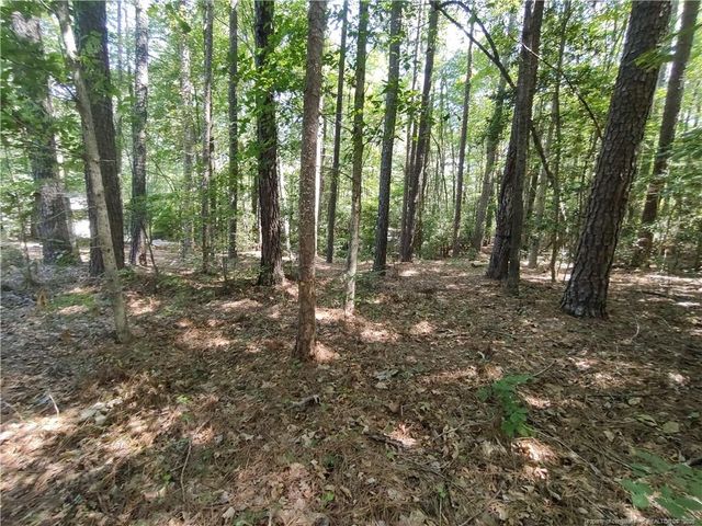 1454 W Carolina Drive, Sanford, NC 27332