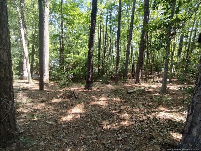 1454 W Carolina Drive, Sanford, NC 27332