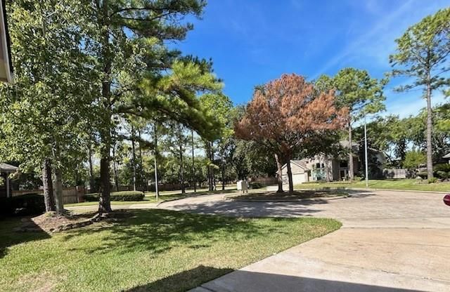 18135 Somerset Knolls, Houston, TX 77094