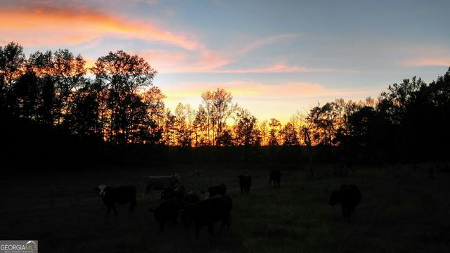 1911 ELLIS ROAD, Hogansville, GA 30230