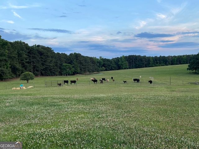 1911 ELLIS ROAD, Hogansville, GA 30230