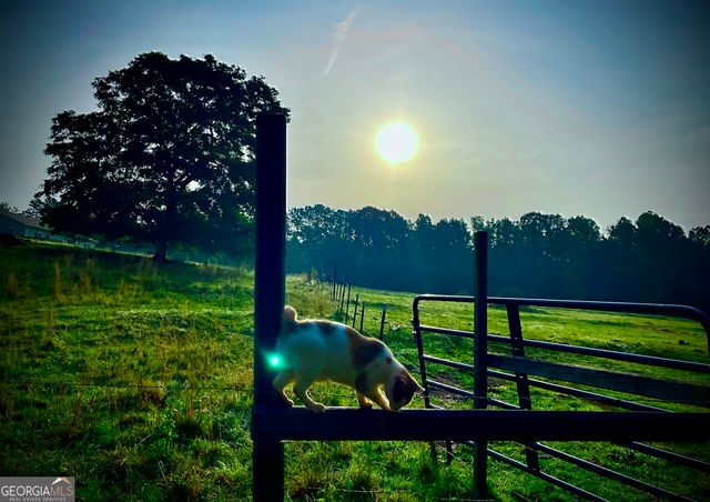 1911 ELLIS ROAD, Hogansville, GA 30230