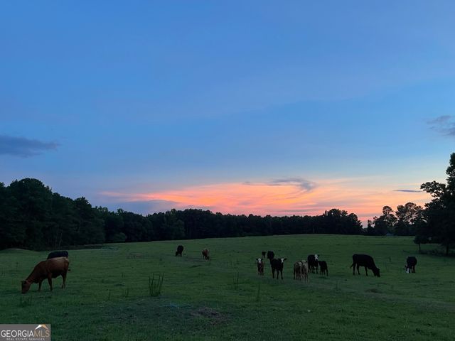 1911 ELLIS ROAD, Hogansville, GA 30230