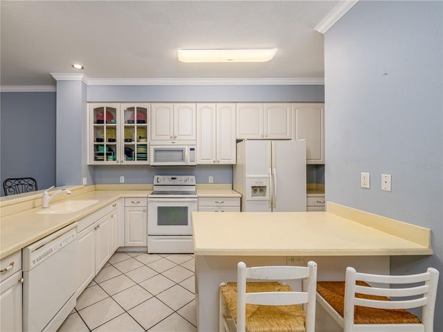 204 S LINCOLN AVENUE, Tampa, FL 33609