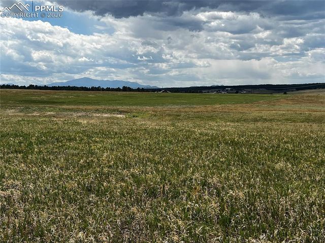 16990 Early Light Drive, Colorado Springs, CO 80908