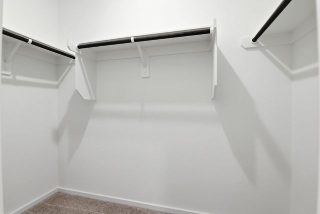 26283 Arrowleaf Drive, Magnolia, TX 77355