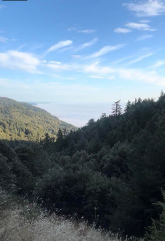 0 Bear Court, Shelter Cove, CA 95589