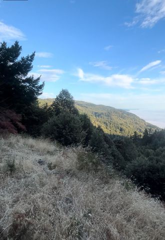 0 Bear Court, Shelter Cove, CA 95589