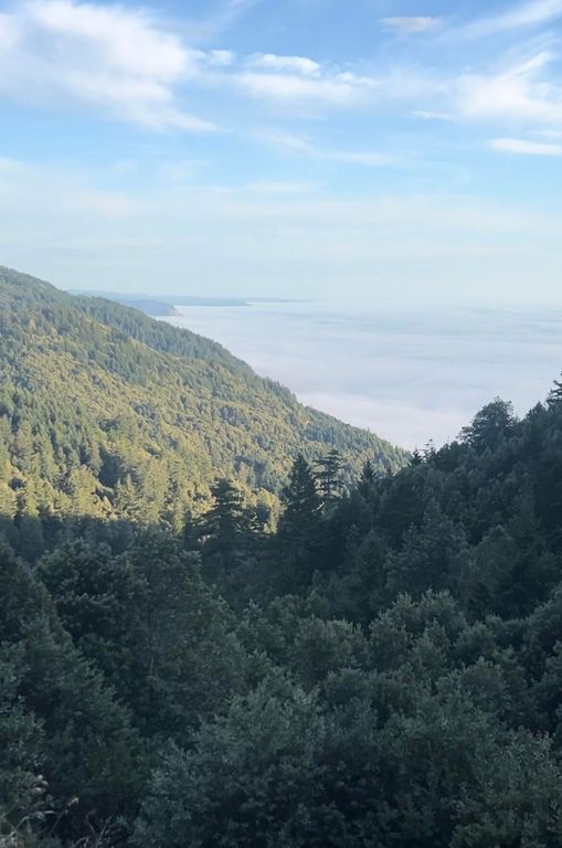 0 Bear Court, Shelter Cove, CA 95589