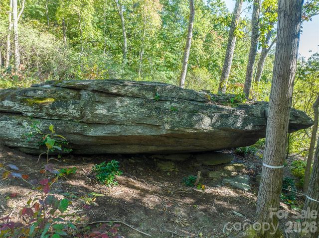 99999 Mountain Grove Lane 48, Fletcher, NC 28732