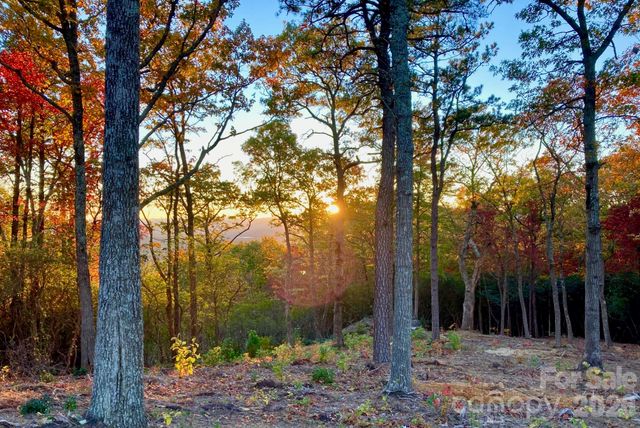 99999 Mountain Grove Lane 48, Fletcher, NC 28732