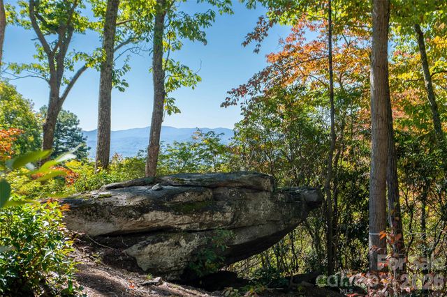 99999 Mountain Grove Lane 48, Fletcher, NC 28732