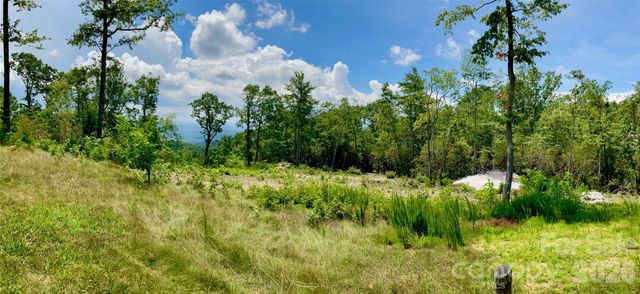 99999 Mountain Grove Lane 48, Fletcher, NC 28732