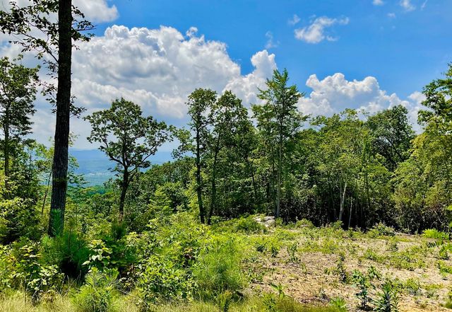 99999 Mountain Grove Lane 48, Fletcher, NC 28732